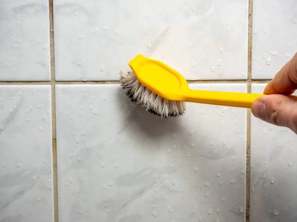 Best Mold Cleaning Services  in North Pembroke, MA