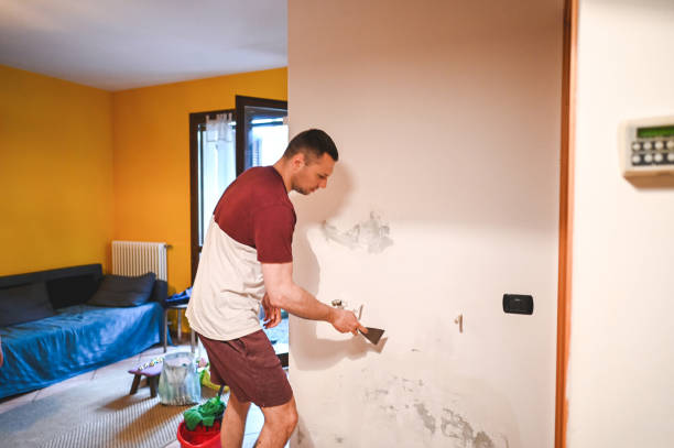 Best Certified Mold Removal  in North Pembroke, MA